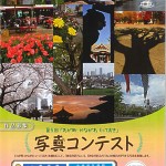 写真コンテスト