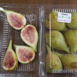 バナーネイチジク