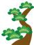 matsu