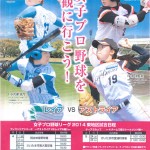 女子プロ野球東地区試合日程 女子プロ野球東地区試合日程