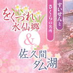 鋸南町