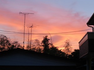 IMG_8075