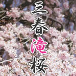 takizakura
