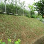 IMG_3610_R
