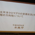 IMG_3938_R