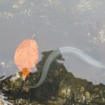 img_2428_r