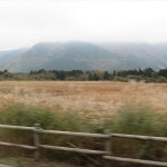 img_9151_r