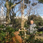 IMG_5611_R
