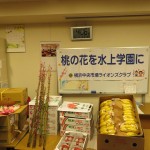 IMG_0284_R