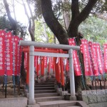 IMG_7880_R