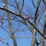 170320-101822-ファイル_000 (2)_R