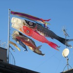 IMG_0705_R