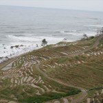 IMG_0754_R