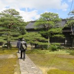 IMG_0997_R