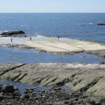IMG_1038_R