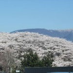 IMG_1087_R