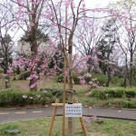 IMG_9829_R