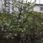 170402-093157-ファイル_000_R