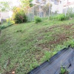 170501-063040-IMG_1396_R