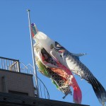 IMG_1563_R