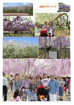 ashikaga