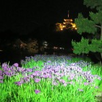 IMG_3534_R