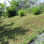 IMG_3674_R
