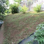 IMG_2573_R