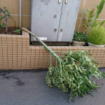 ファイル_001_R