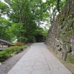 IMG_7063_R