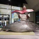 IMG_7346_R