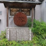 IMG_8674_R