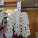 IMG_0676_R