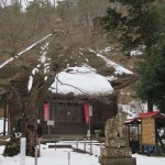 IMG_4600_R