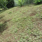 IMG_5312_R