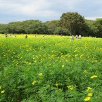 IMG_8239_R