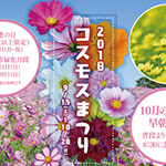 cosmos2018top