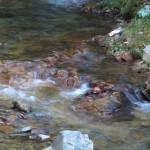 IMG_0605_R
