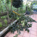 IMG_8847_R
