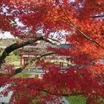 IMG_2825_R