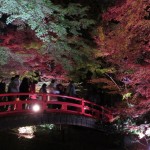 IMG_3036_R