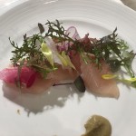 IMG_0208_R