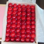 IMG_4546_R