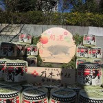 IMG_4954_R