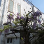 IMG_0292_R