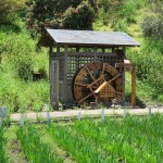 IMG_0675_R