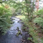 IMG_1772_R