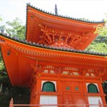 IMG_2181_R