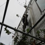 IMG_3215_R