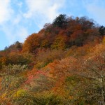 IMG_5093_R